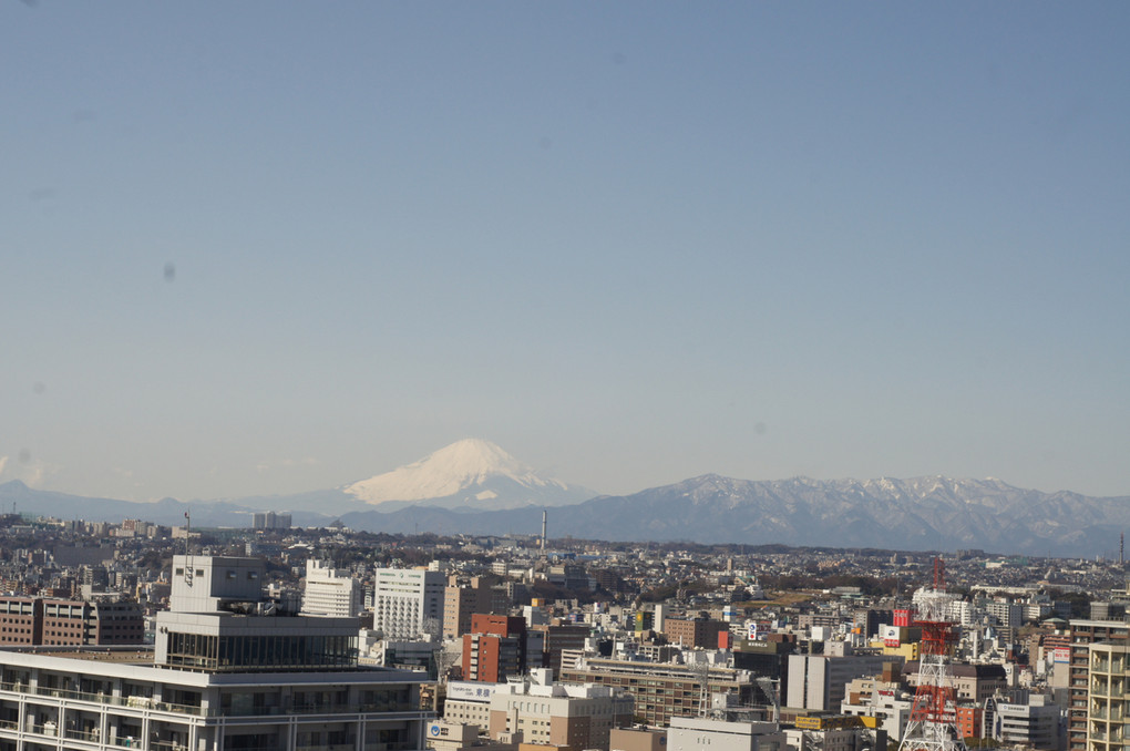 横浜マリンタワーから富士山を望む