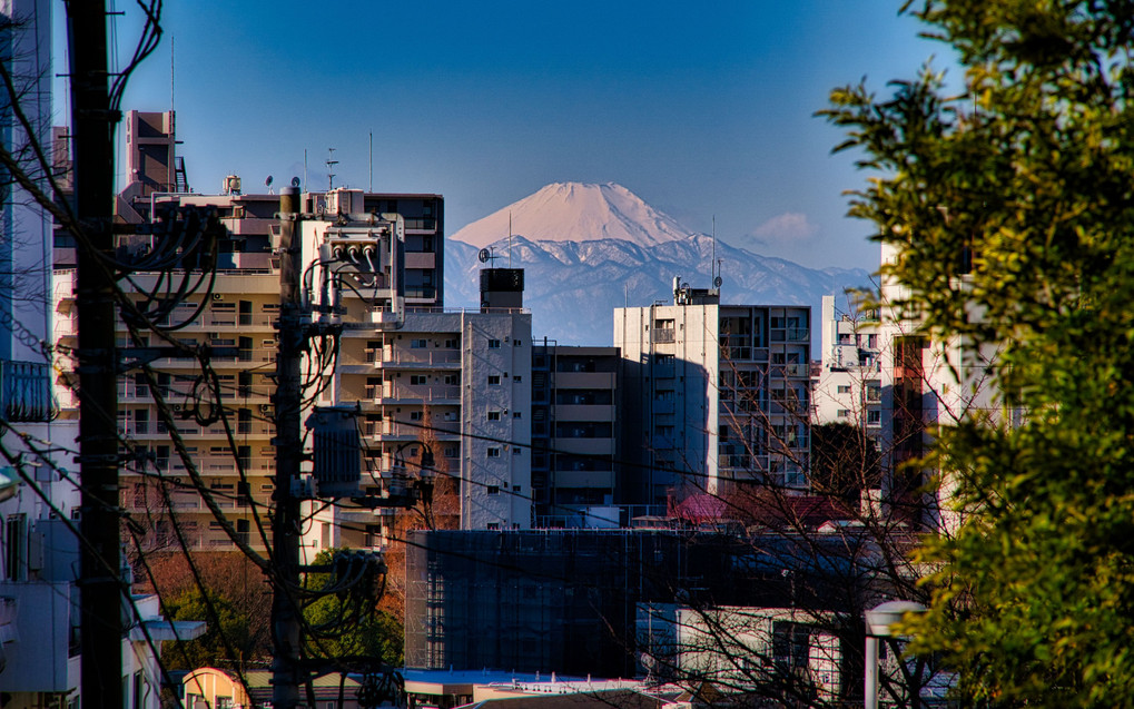 都心の富士山風景＠目黒富士見坂
