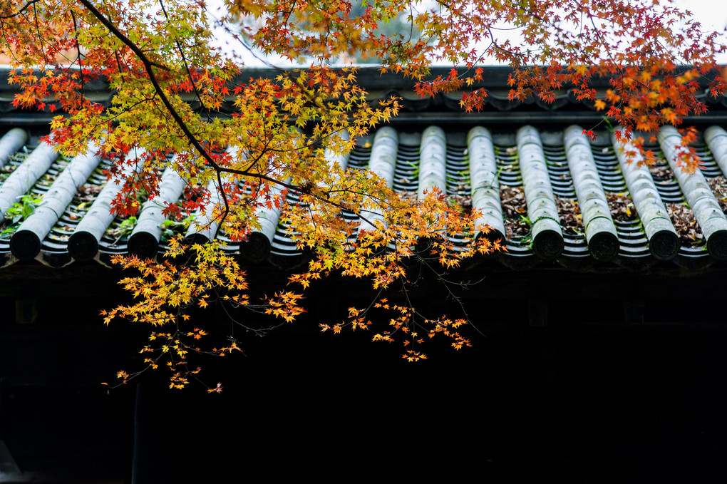 筑前の小京都