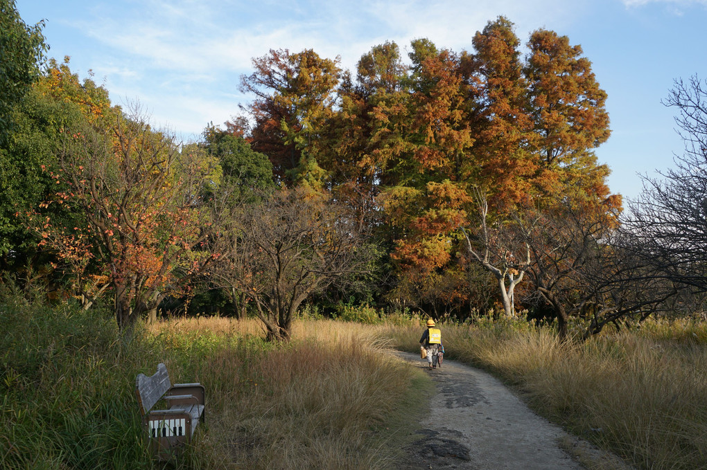 大きな大きな釣り堀の秋景色(2)