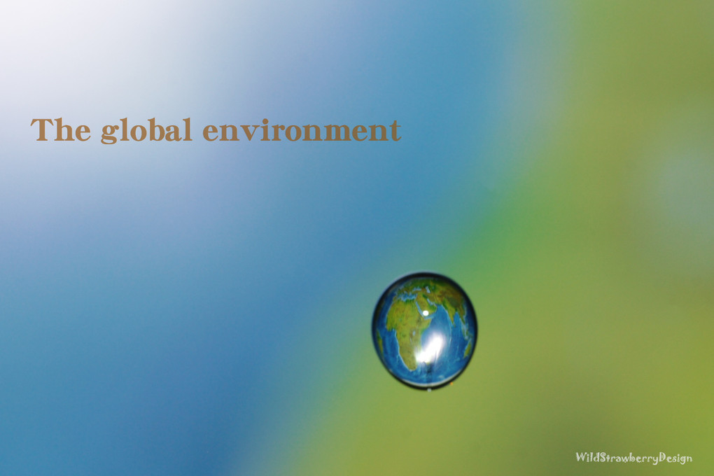 The global environment