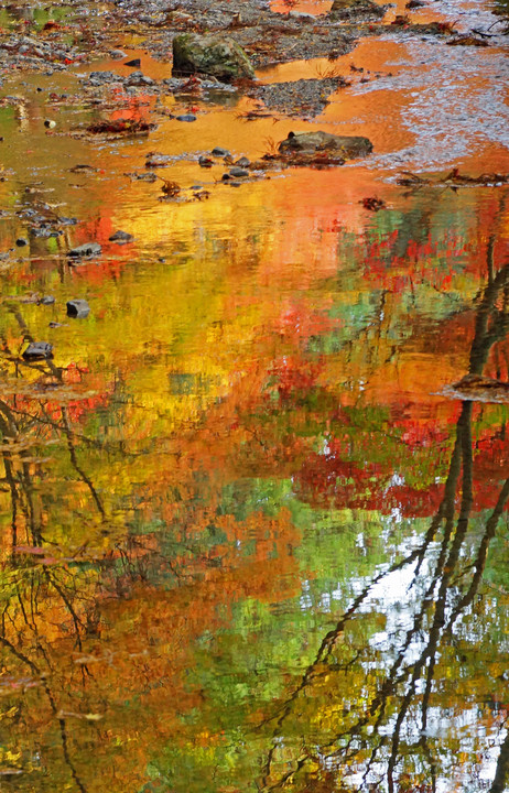 紅葉の川面