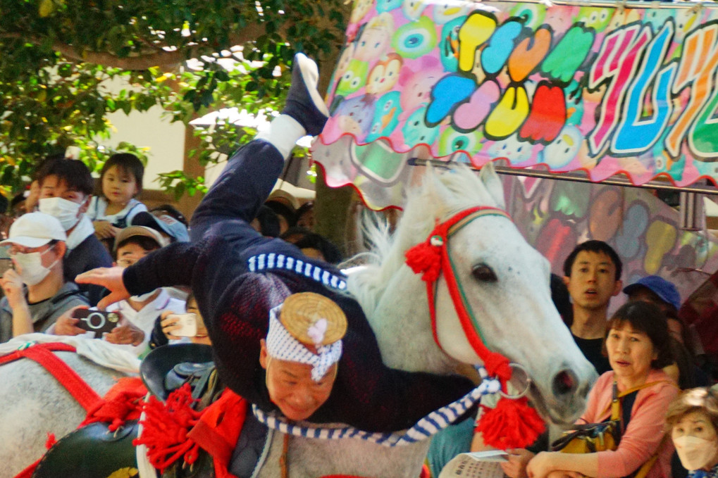 藤森神社の駆け馬