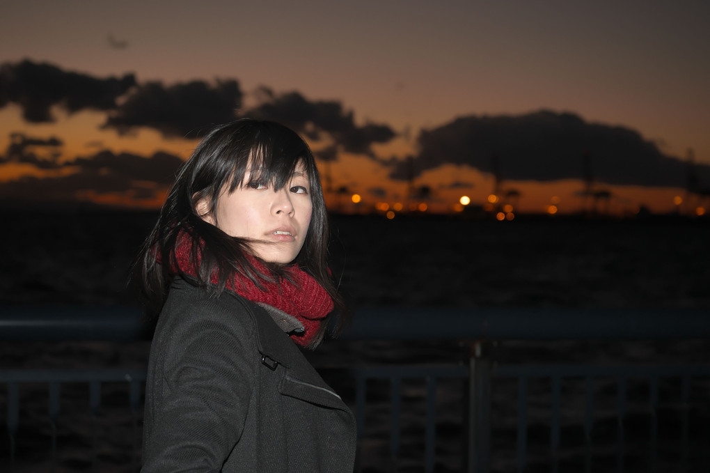 風の令嬢　諷　様　大阪港編　その9　港の灯りが美しい諷様をより美しく照らす。
