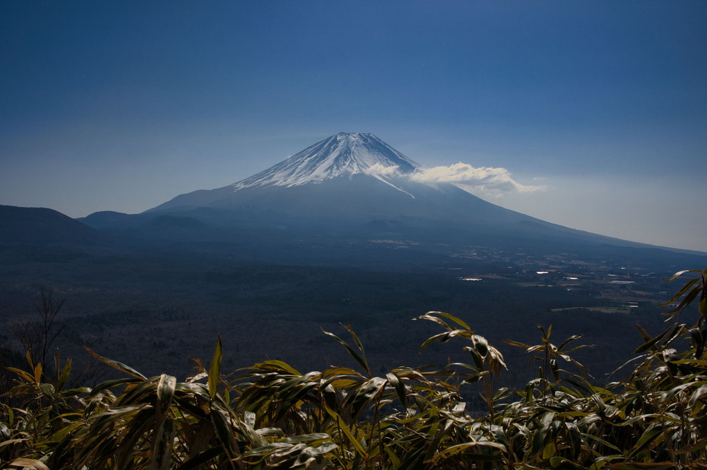 竜ヶ岳からの富士山 １