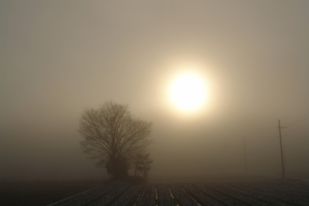 朝霧の通勤路