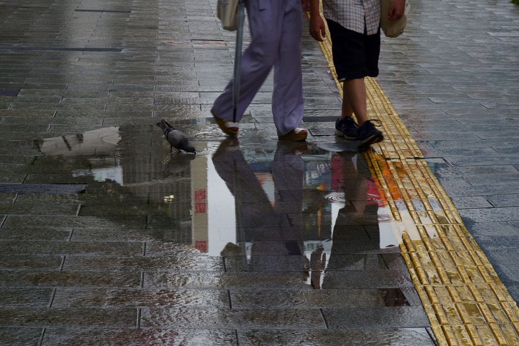 街角スナップ：水たまり　＠新宿東口駅前