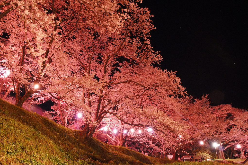 桜が丘・・・三春