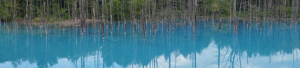 青い池（スイングパノラマ）