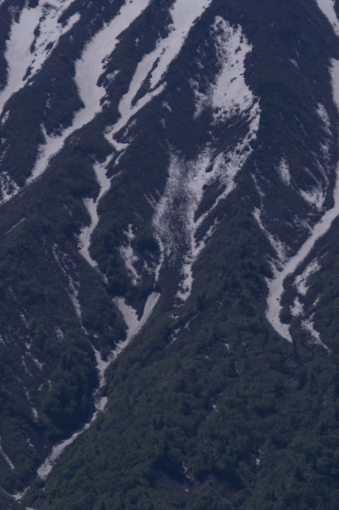水田に映る残雪の羊蹄山