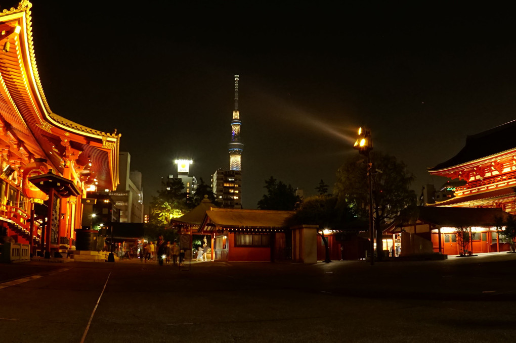 初体験　夜の浅草寺