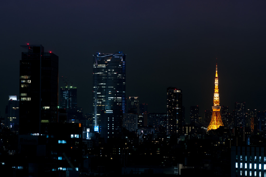 渋谷から見た東京タワー