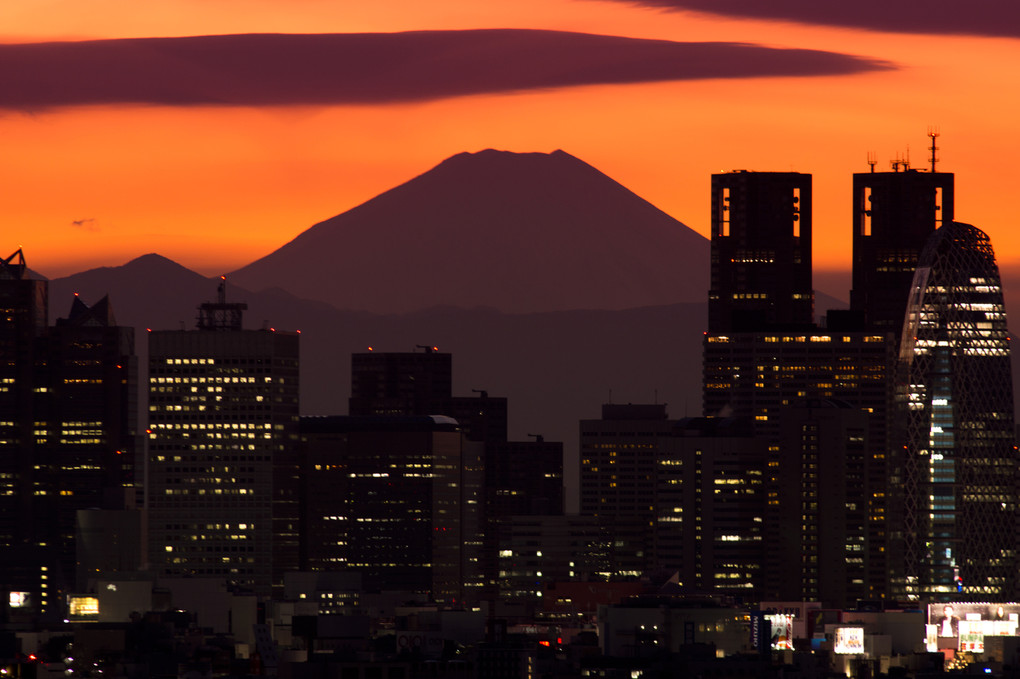 夕方の新宿　+ 富士山