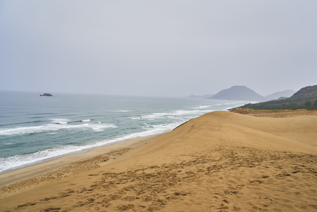 砂にも雨にも負けず、一歩一歩前進 　-鳥取砂丘-