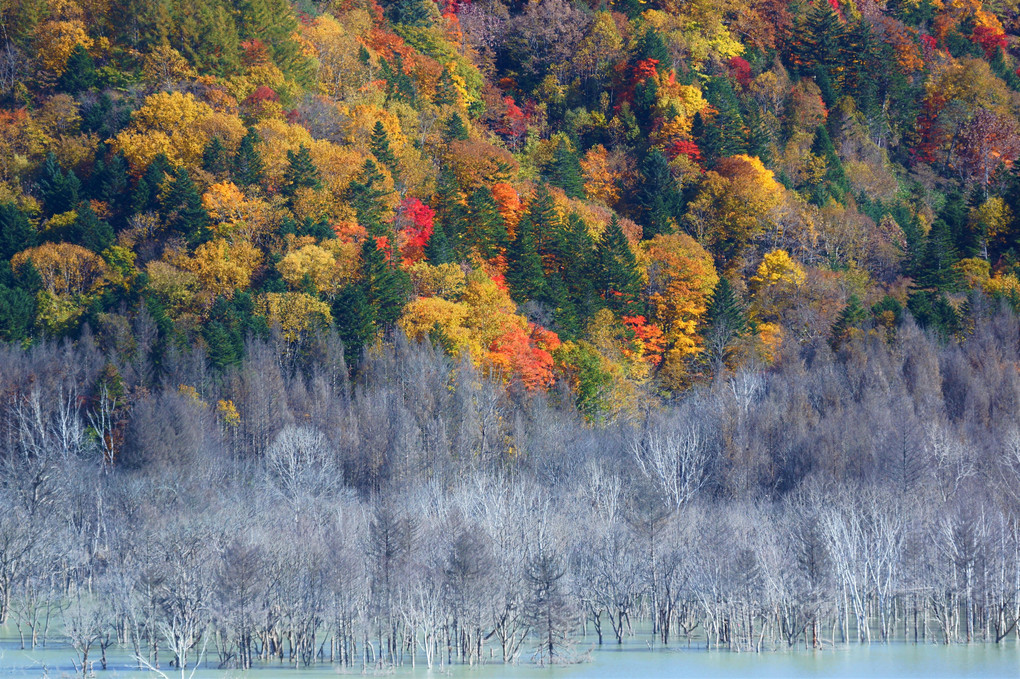 シューパロ湖 ソニファさん Acafe Aの写真投稿サイト ソニー シューパロ湖 ソニファさん Acafe Aの写真投稿サイト ソニー