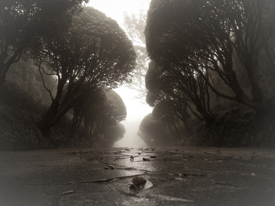 霧の箱根