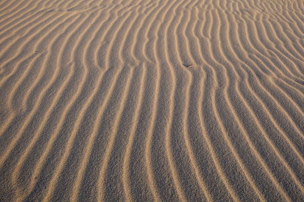 島根の砂