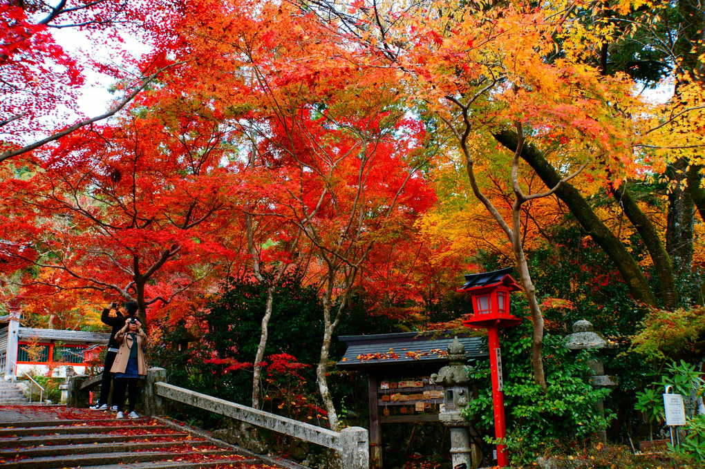 京都・鍬山（くわやま）神社紅葉