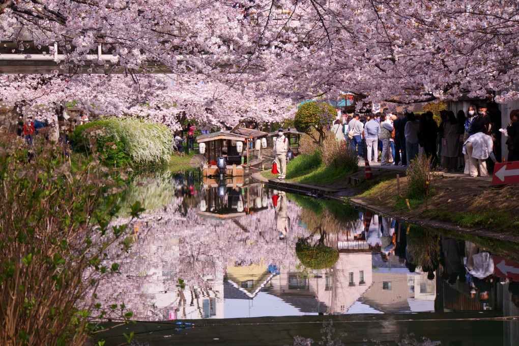 京都伏見の酒蔵と十石船