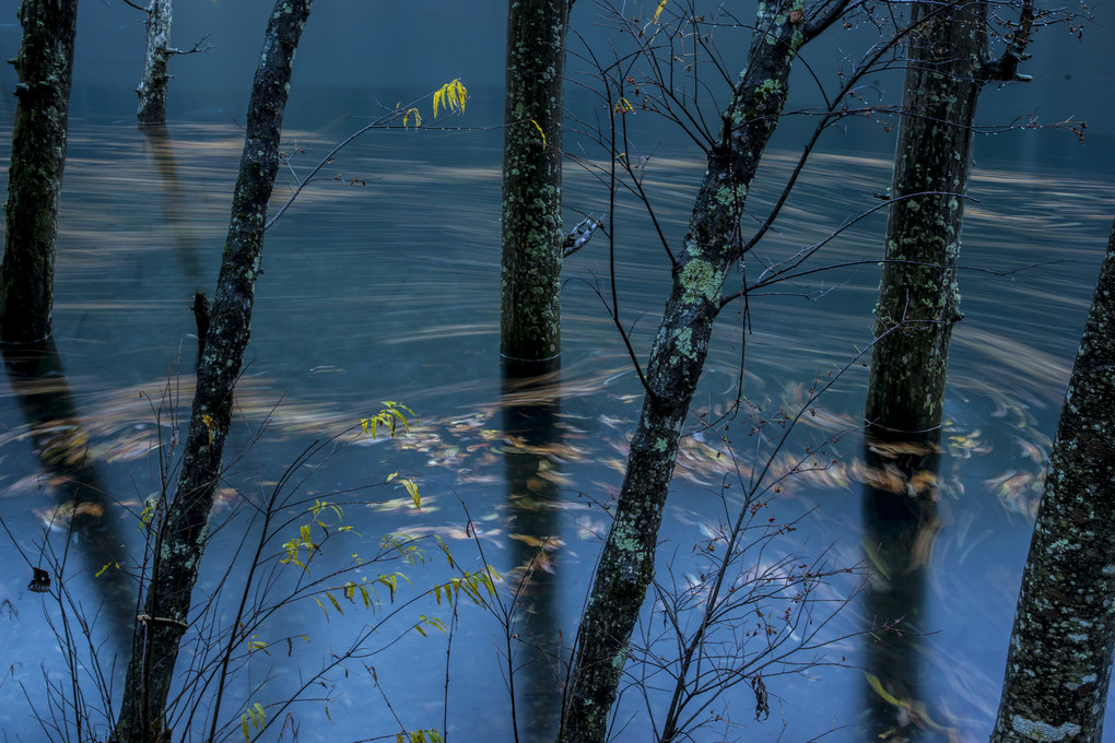 晩秋の湖岸