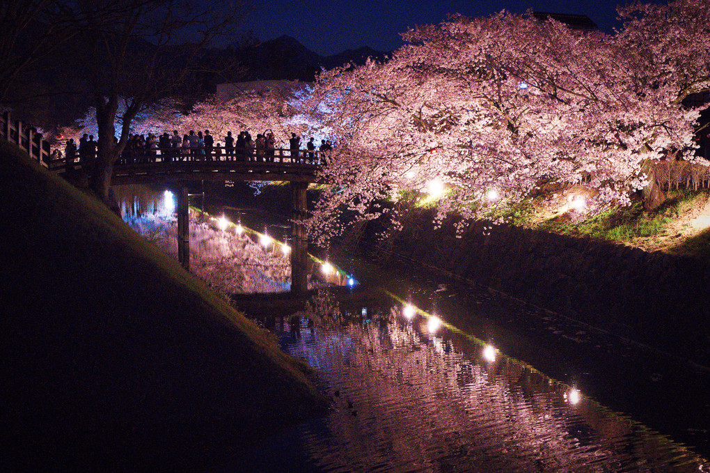 夜桜松本城
