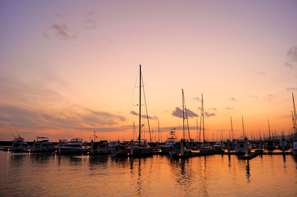 Harbor　Sunset