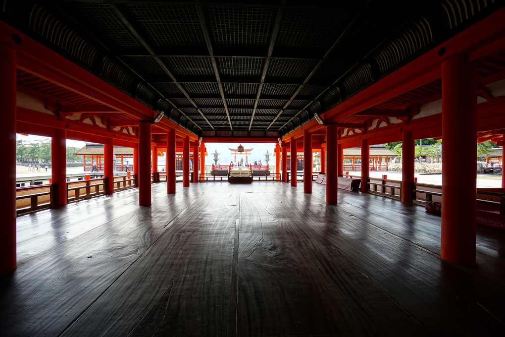 α体験会～世界文化遺産の宮島・厳島神社を撮る