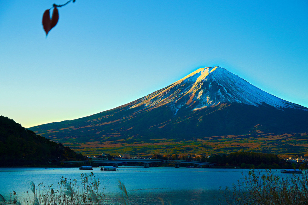 葉っぱと富士山