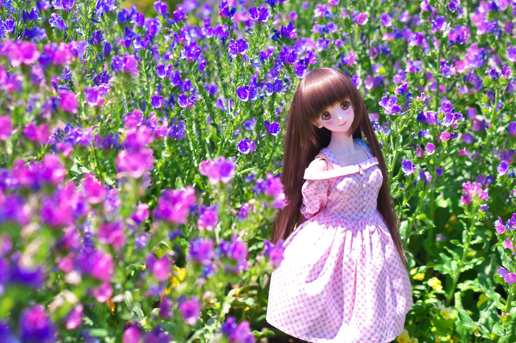 綺麗な青紫色のエキウム ブルガレ てぃかさん Acafe Aの写真投稿サイト ソニー