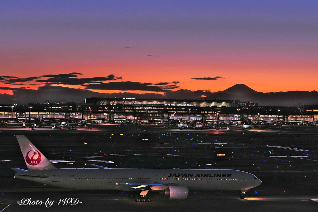 夕暮れの羽田空港
