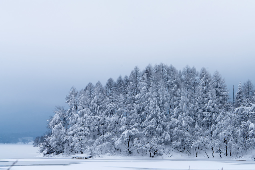 檜原湖雪景色