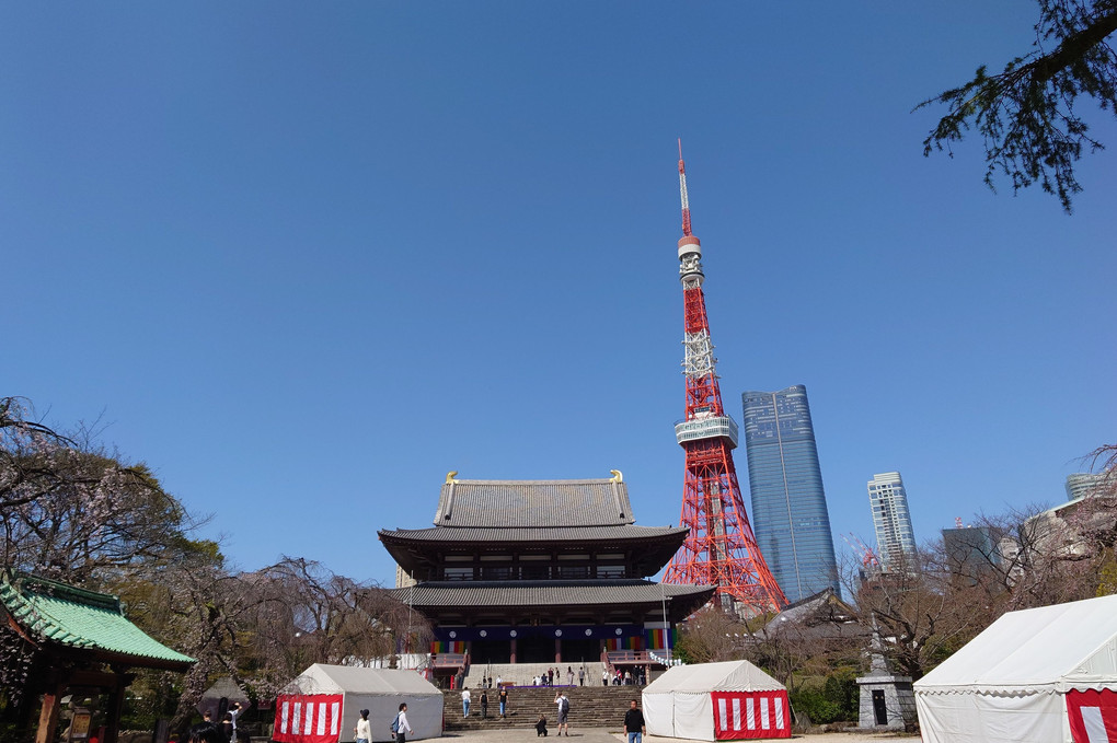 「増上寺」に、「東京タワー」と「麻布台ヒルズ」を入れて、カシャッです。
