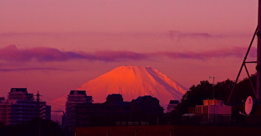 朝日に輝く富士