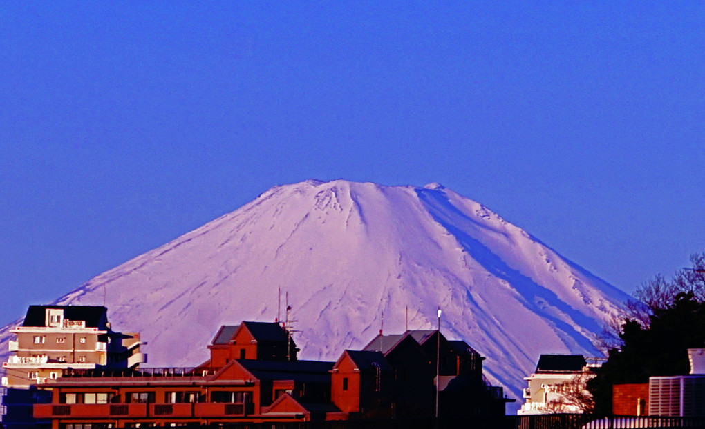 神々しき富士の頂