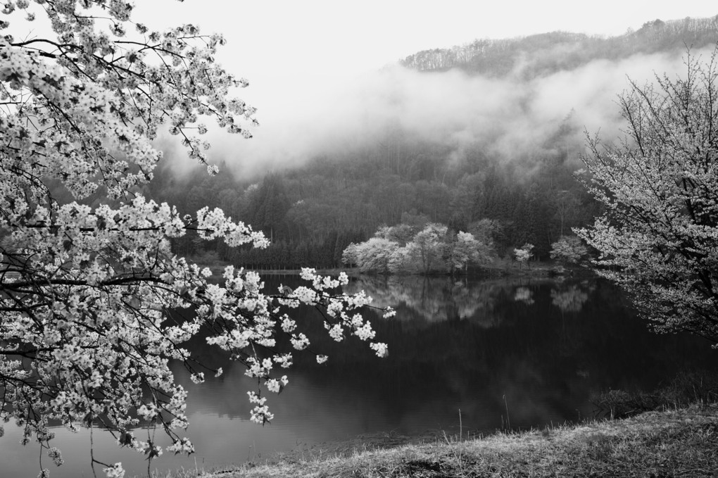 朝霧の中綱湖