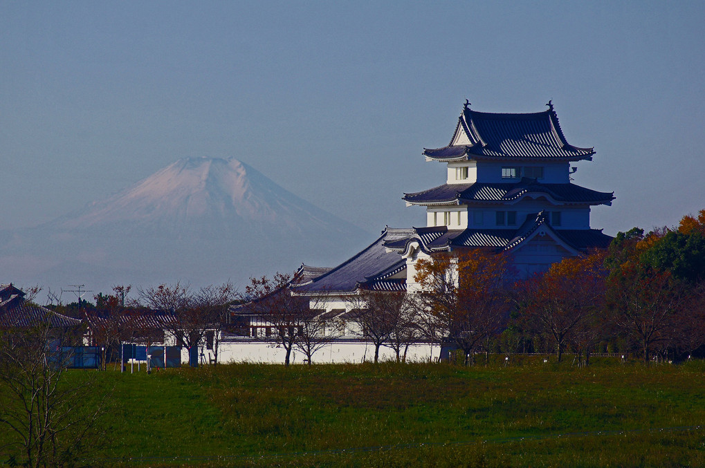 境の渡しより　富士と関宿城