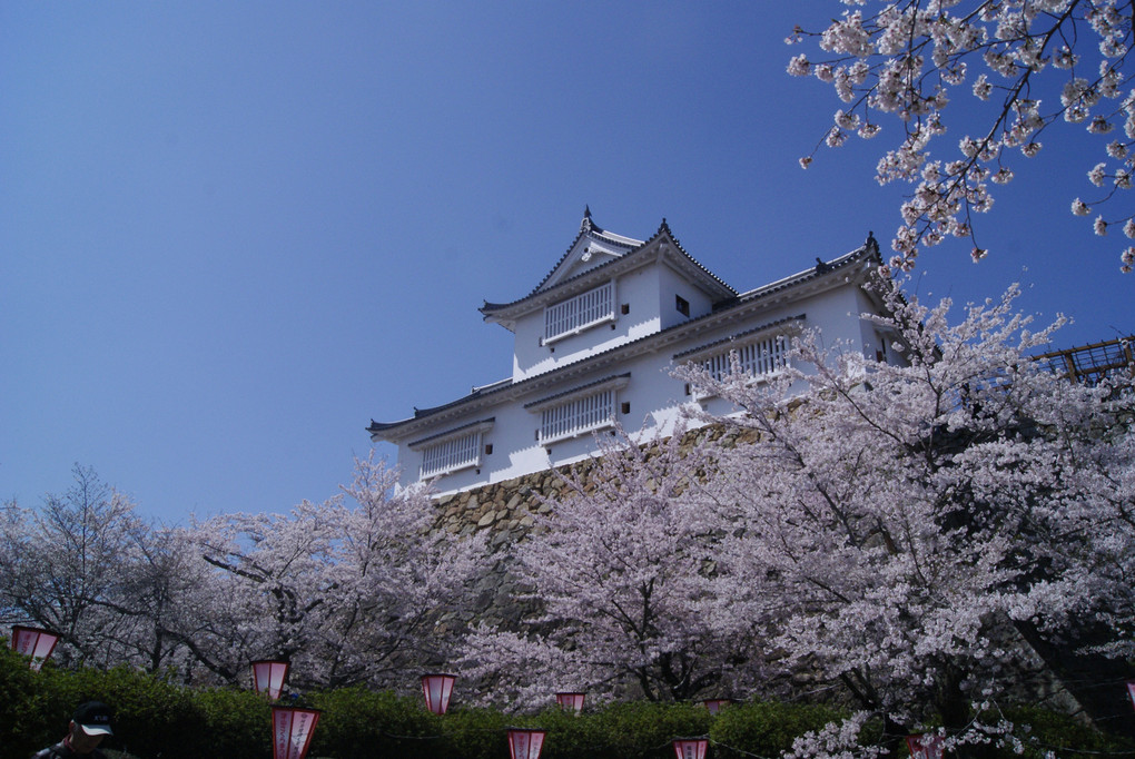 桜と備中櫓in鶴山公園