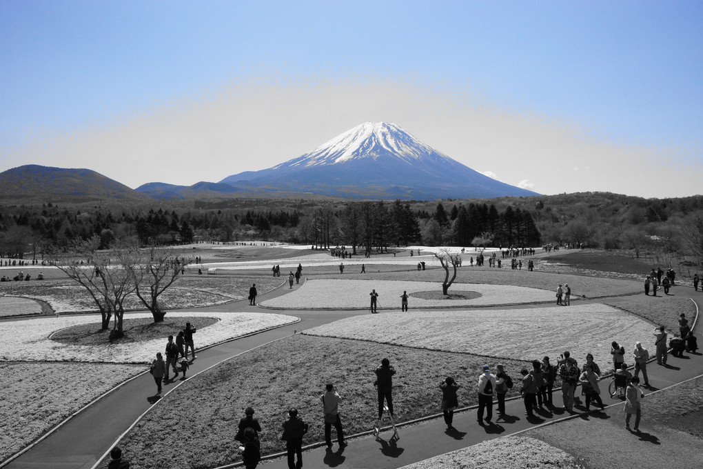 富士山に魅了される人々