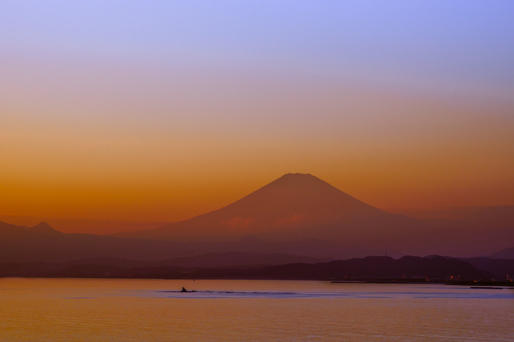 夕暮れの富士山　～　江ノ島より