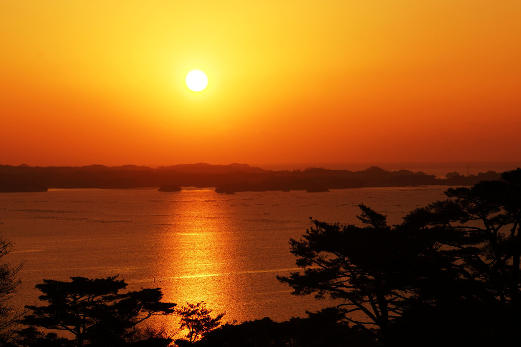 松島「西行戻しの松」からの日の出
