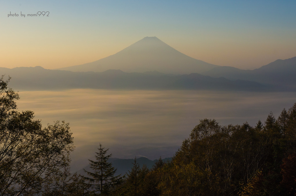 甘利山からの富士山２