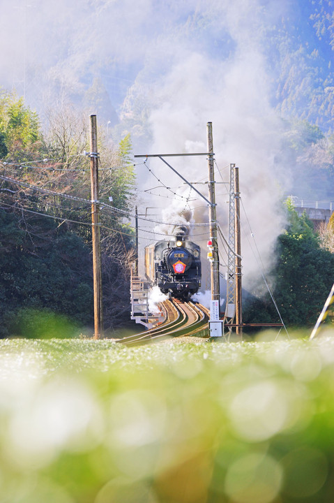 Ōigawa Railway