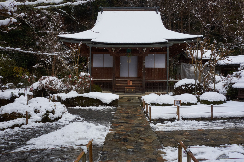 冬の京都・大原巡り