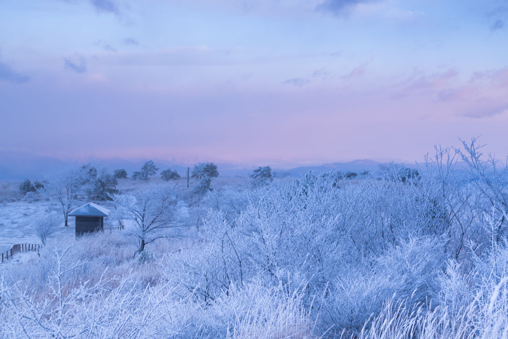 冬の朝の色彩