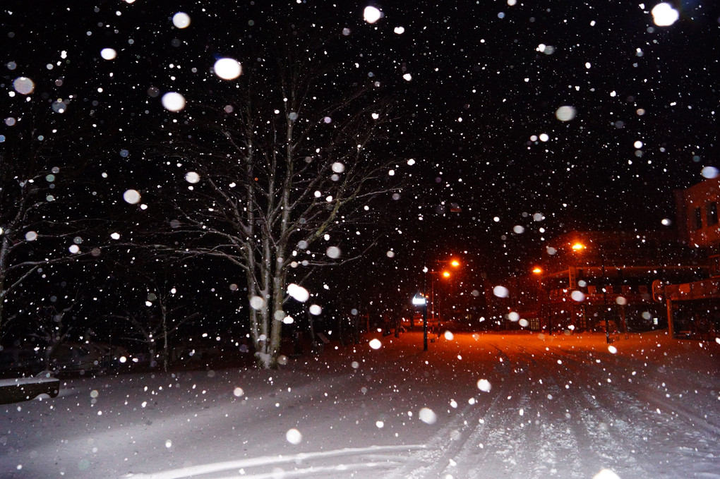 雪降る中禅寺湖畔の国道
