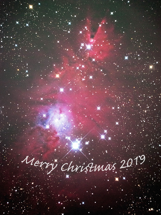 Merry Christmas 2019　 (^^ )▼゜