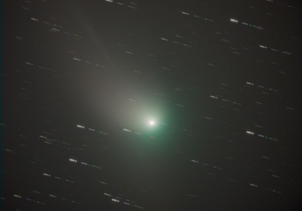 ☆1月のソラさんぽ５～望遠鏡で捉えたZTF彗星