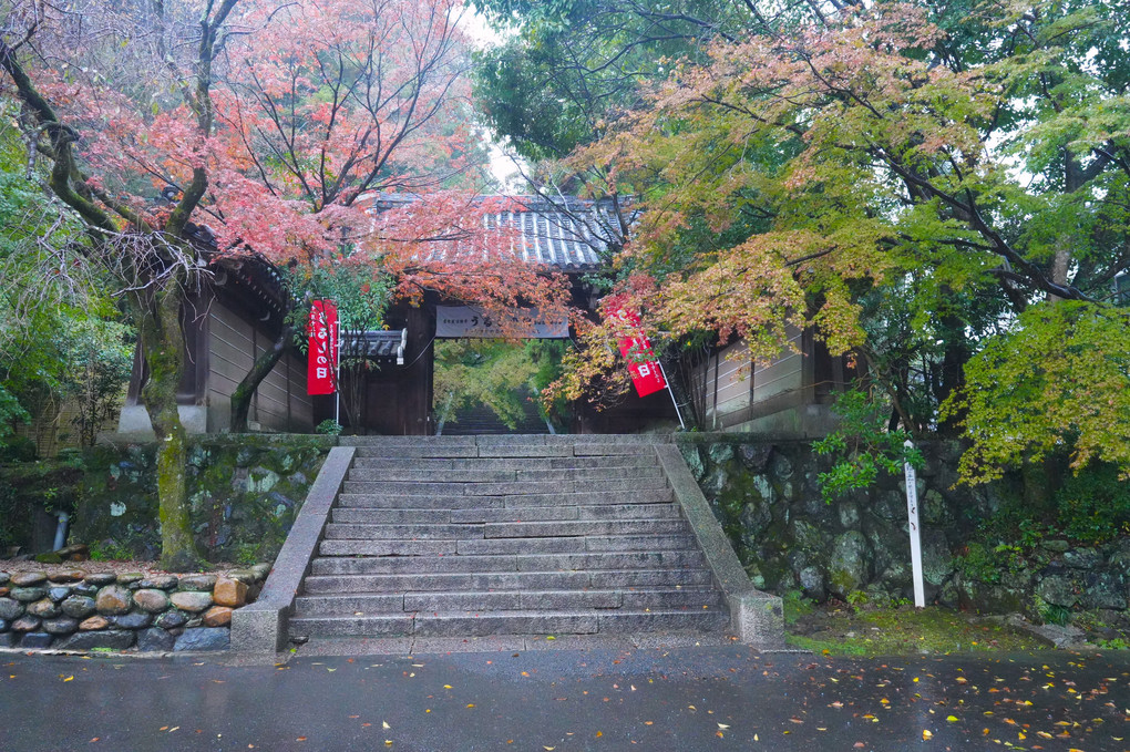 法輪寺（京都嵯峨野）