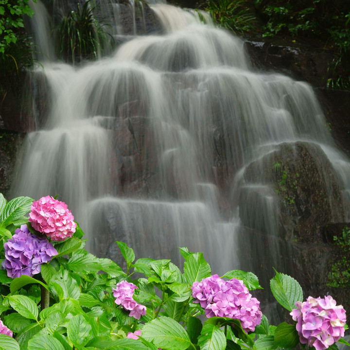 花と渓流の里小滝
