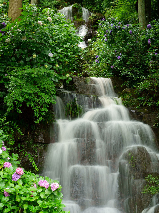 花と渓流の里小滝
